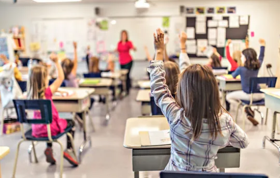 Students raising hands in classroom