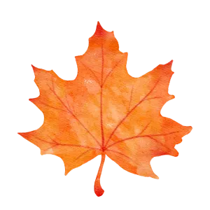 Fall